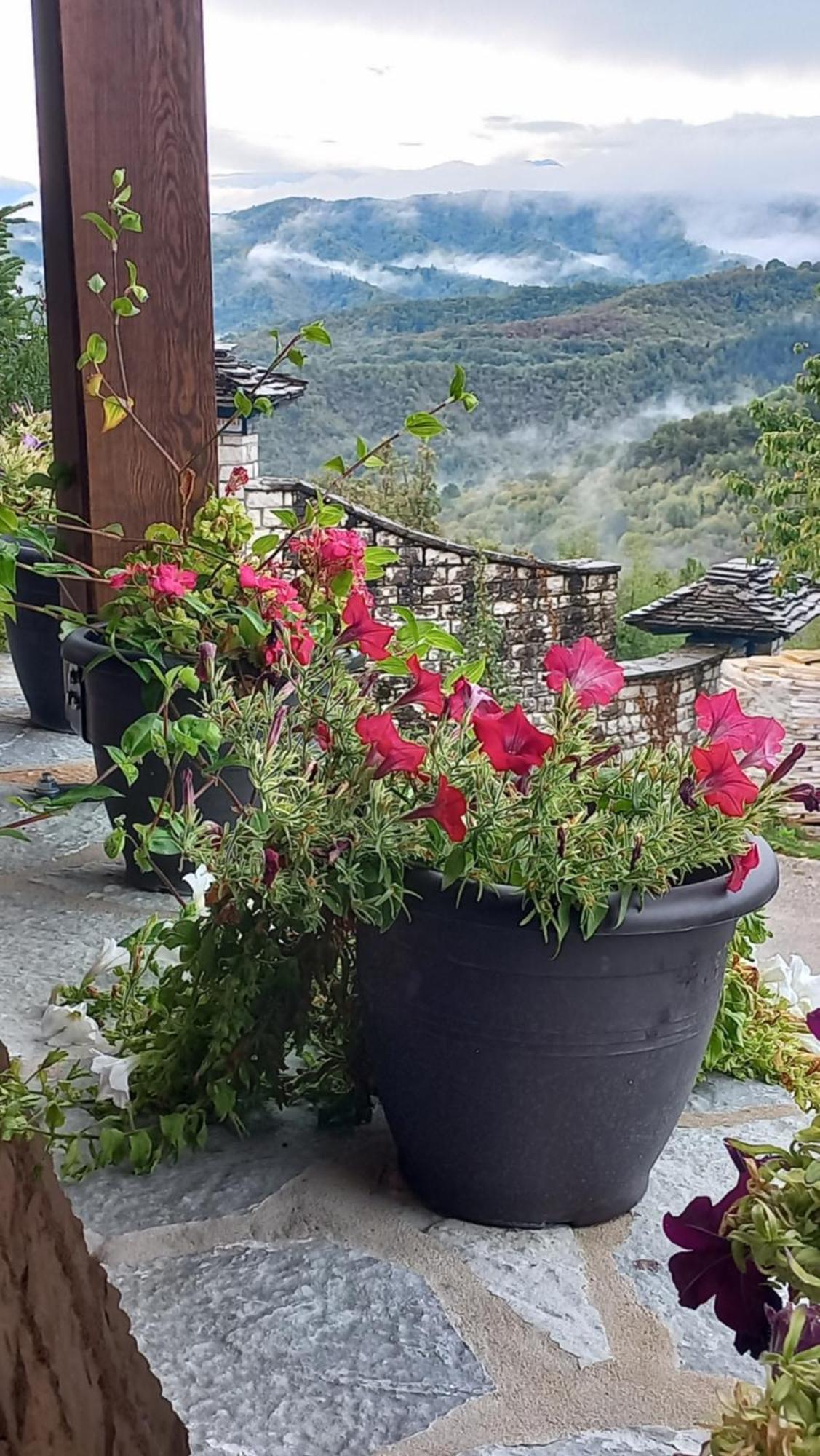 Guesthouse Selini Vitsa Buitenkant foto