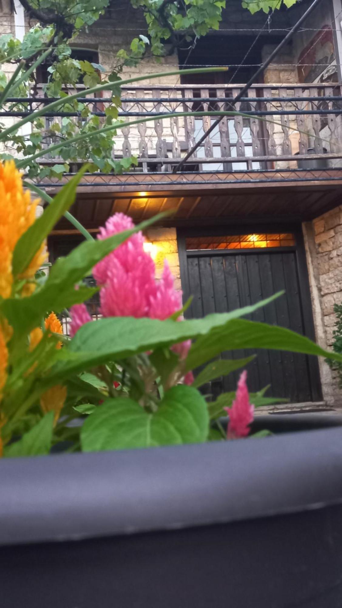 Guesthouse Selini Vitsa Buitenkant foto